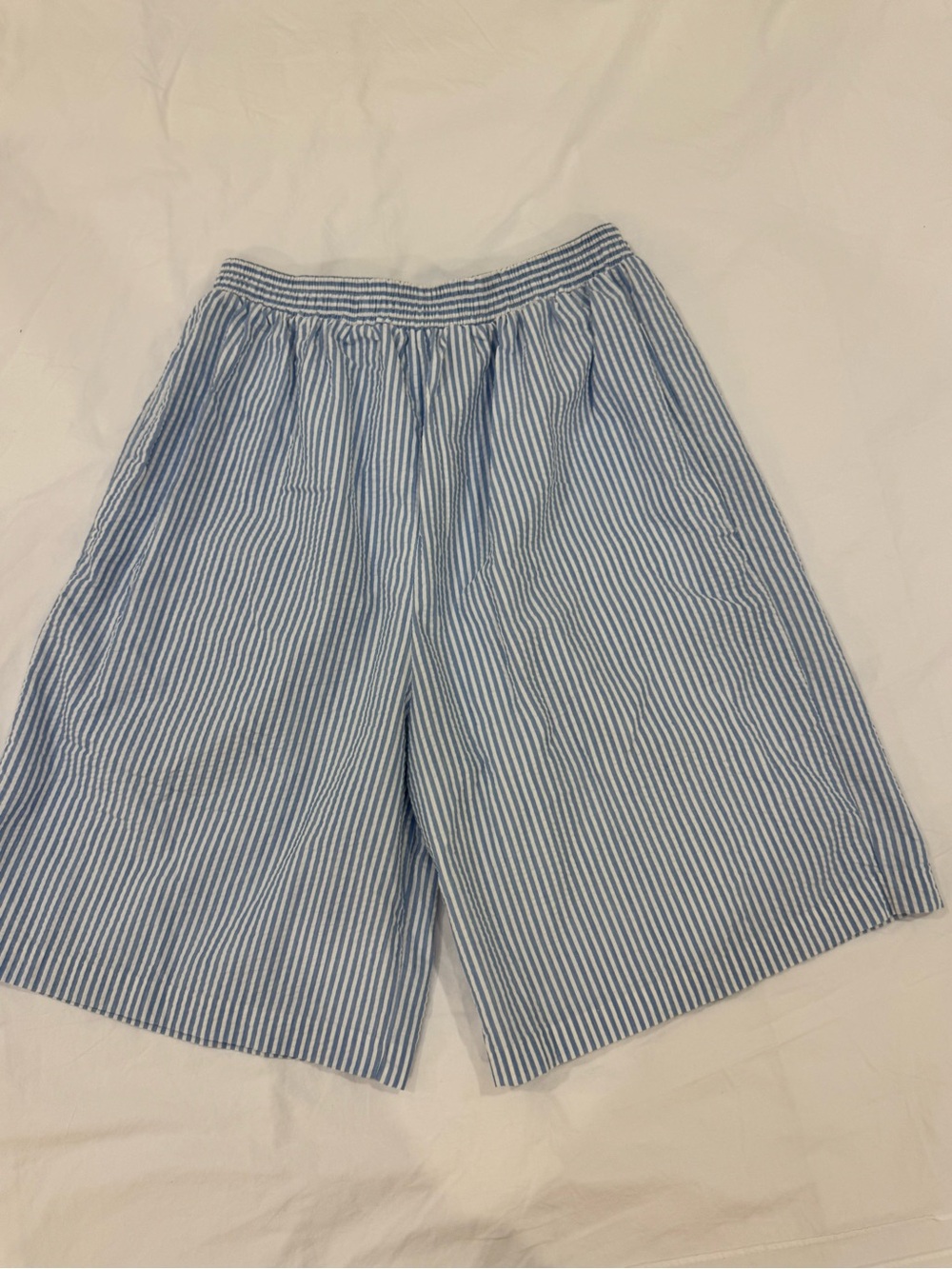 Thrifted Blue & White Seersucker Stretch Shorts